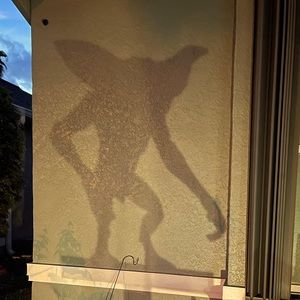 Gremlin shadow caster